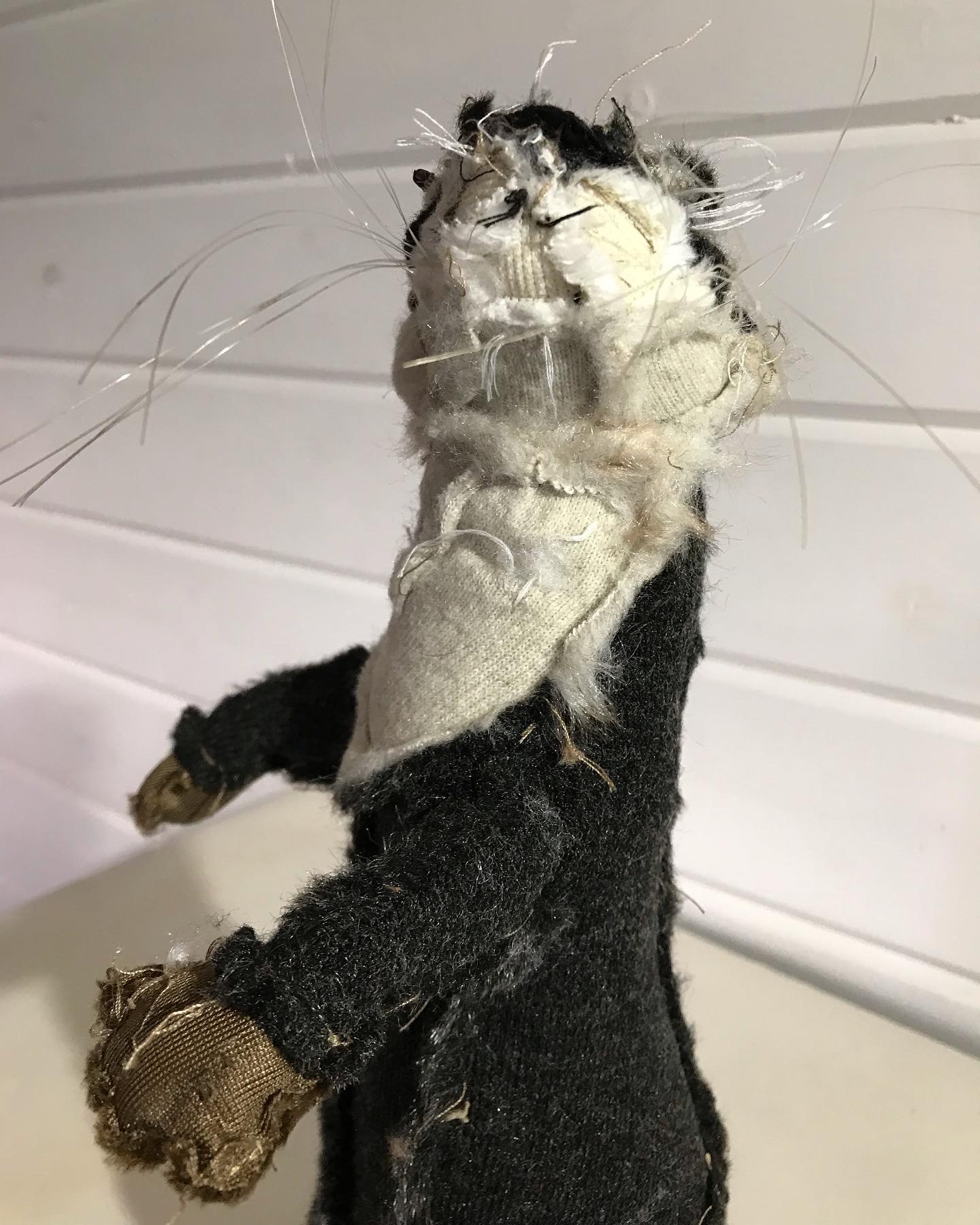 3D22C295-2054-4215-9F9D-F8A826176843